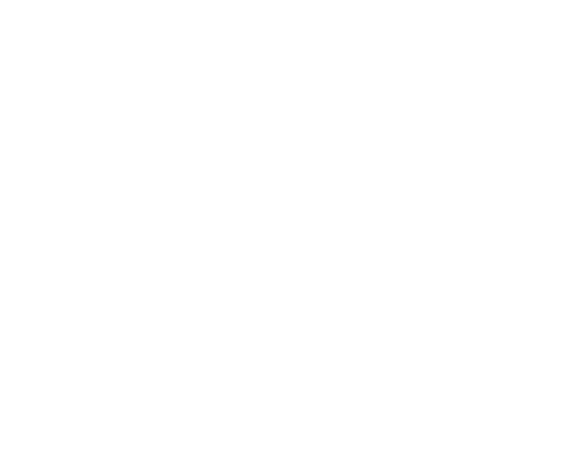 logo light